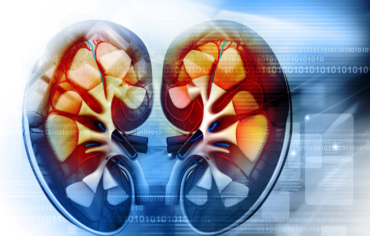 列净类降糖药糖尿病肾病,列净类降糖药和二甲双胍联用消瘦