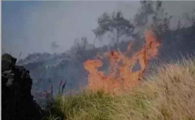 地球5年后的大灾难,地球病了会好起来吗