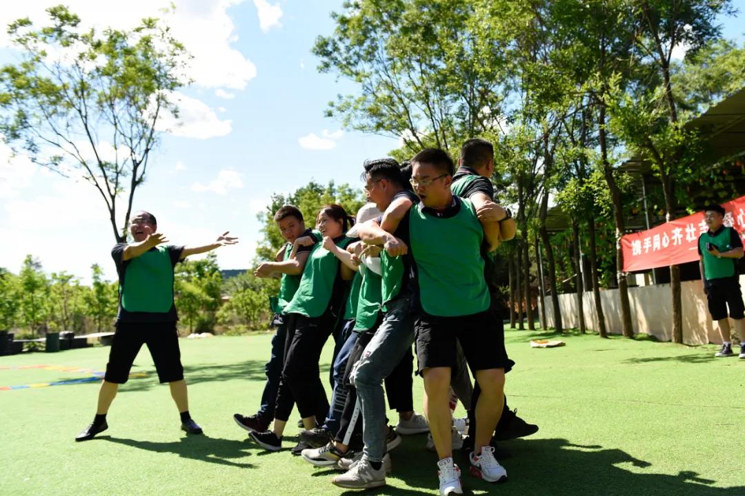 凌阳科技有限公司,凌阳科技单片机