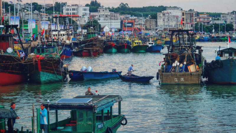 广东湛江旅游攻略赶海,湛江海边旅游攻略推荐地方