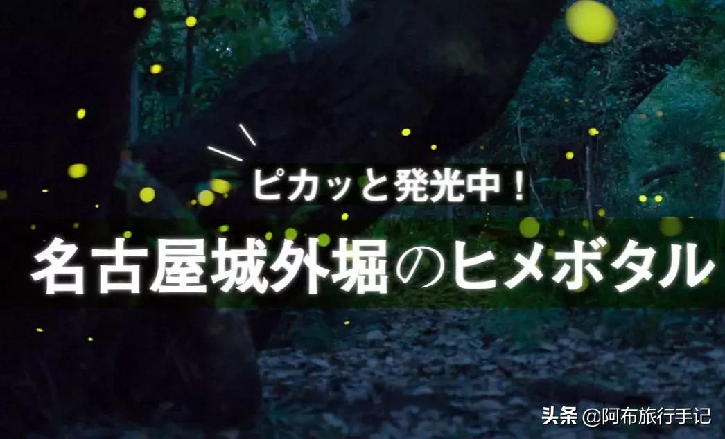 日本名古屋美食介绍,名古屋必吃