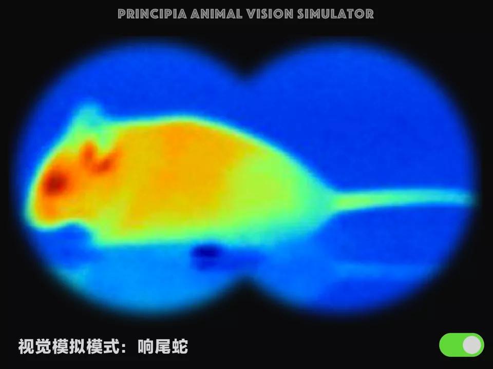 视觉软件exe,视觉模拟器