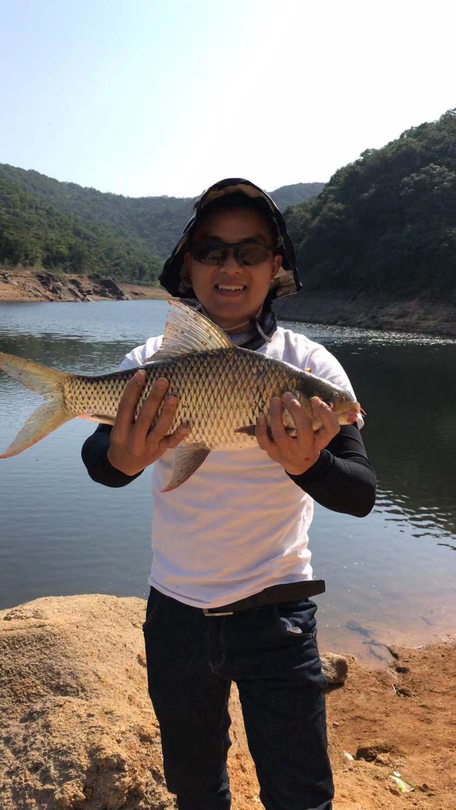 春钓鲮鱼用什么饵最好,钓鲮鱼的技巧和方法