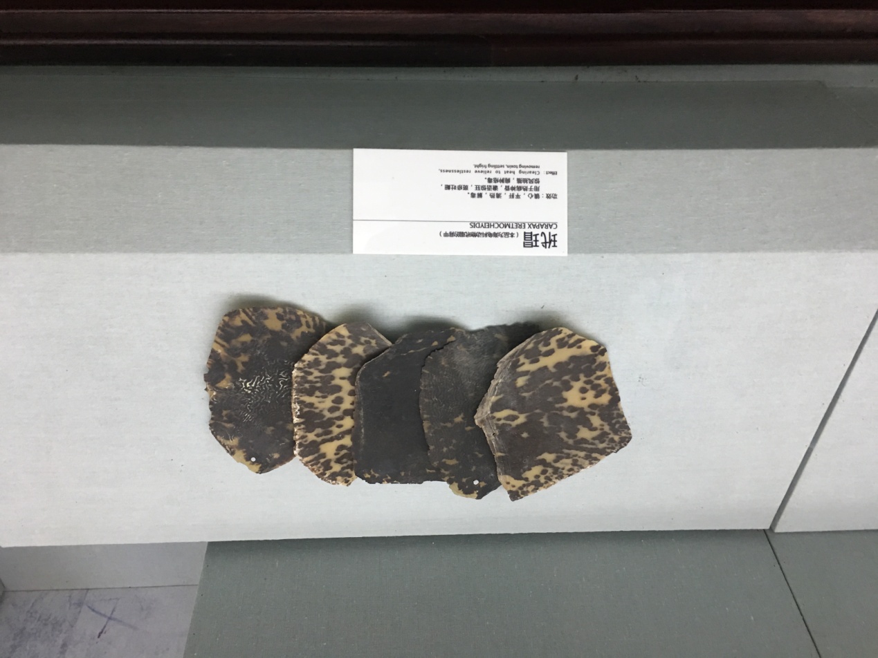 孙思邈的尸体之谜,药王孙思邈一些奇怪理论