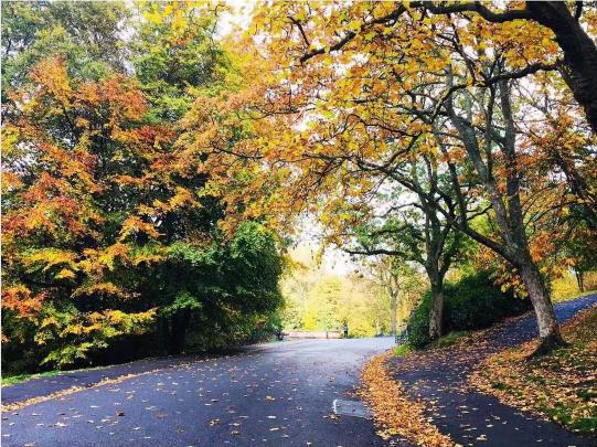 英国利兹大学相当于国内什么档次,留学利兹大学