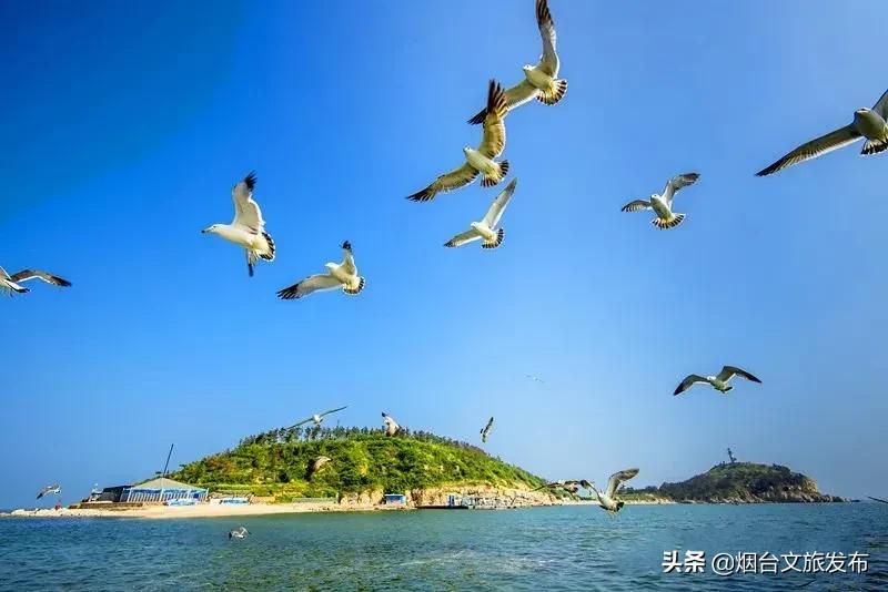 11月份长岛旅游攻略,2020年十一长岛2日游攻略