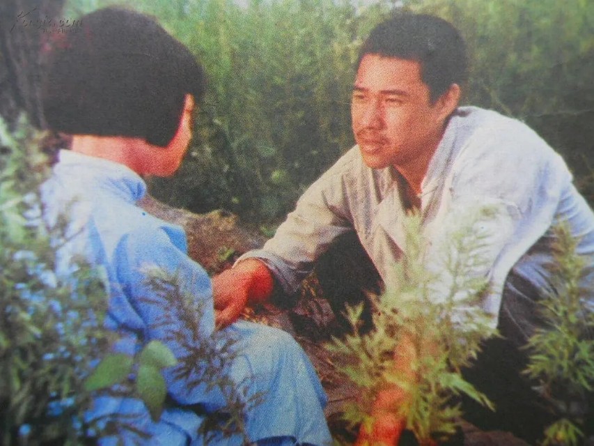 蹇冪伒涔嬬獥璞嗙摚,蹇冪伒涔嬬獥璞嗙摚鐢靛奖