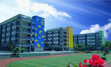 重庆南岸区公立小学学校,重庆南岸区小学排名一览表