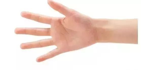 手掌的温度是不是大于脚的温度,手掌的温度来自你心里