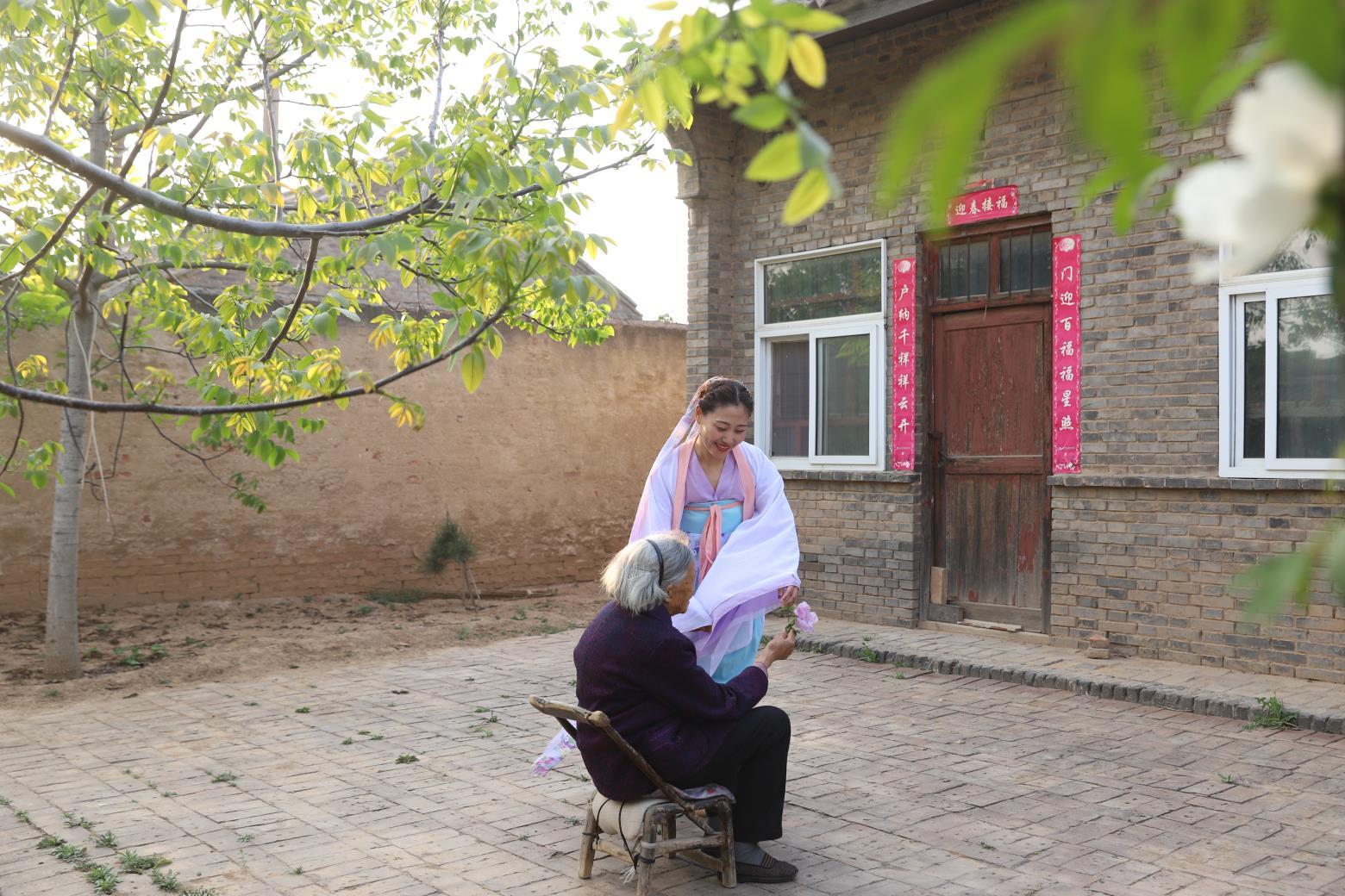 平陆张店白牡丹“梧桐”引“凤”富村民