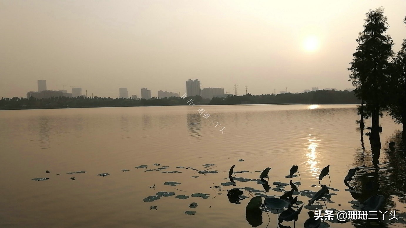 广州湿地公园推荐,广州龙潭河湿地公园