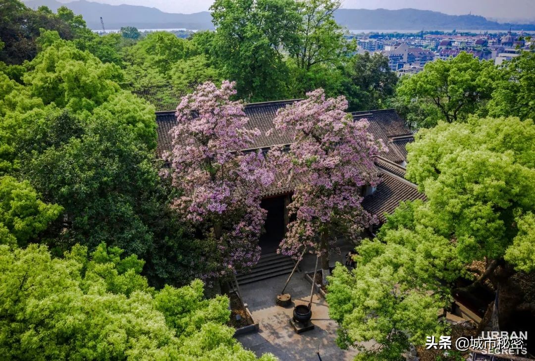 城隍山与吴山,有眼不识玉皇山