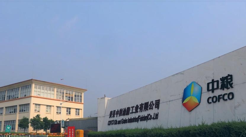 入驻临沂的6家超级企业,入驻山东青岛的世界500强企业