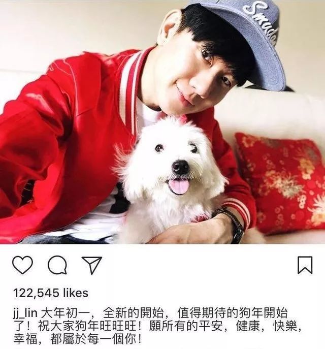 哪些明星养猫最好养,盘点明星们养的宠物