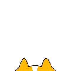 丝绸之路国际博览会美食文化节,嘉峪关第八届美食节