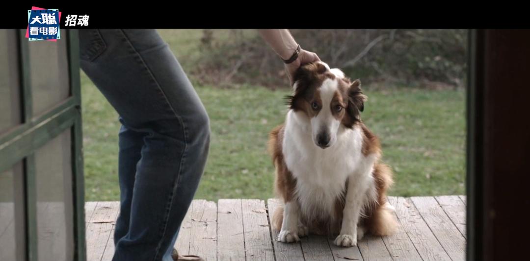 招魂一招魂二招魂三,招魂的恐怖片大全免费观看