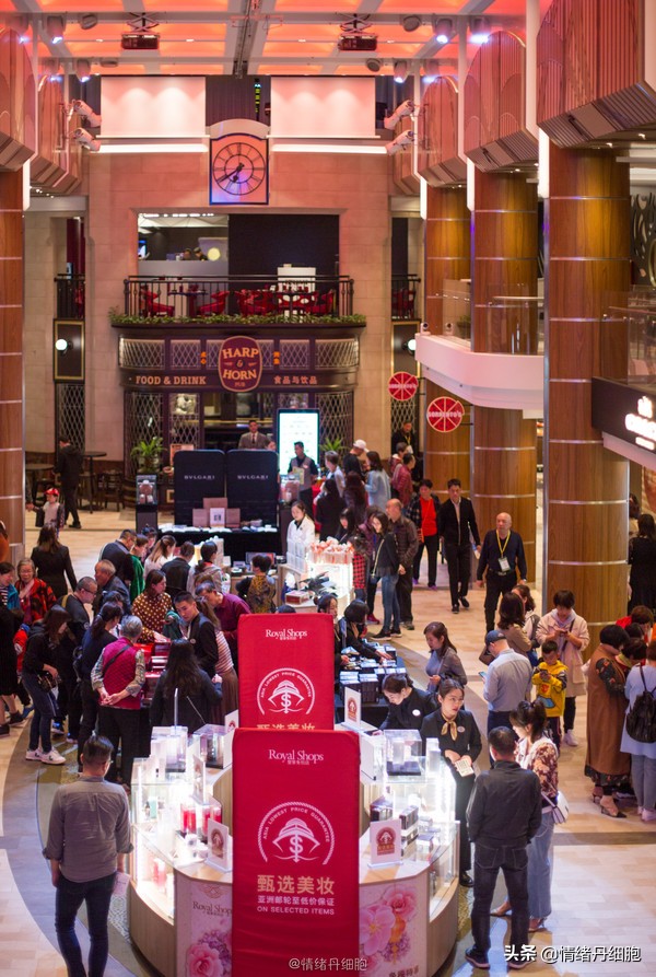 邮轮游选择哪个游轮好,邮轮旅游全攻略公主号