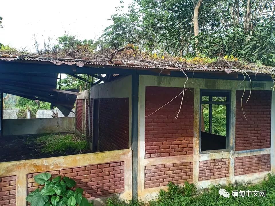 坤沙是怎么当上金三角老大的,金三角大毒枭坤沙传奇的一生