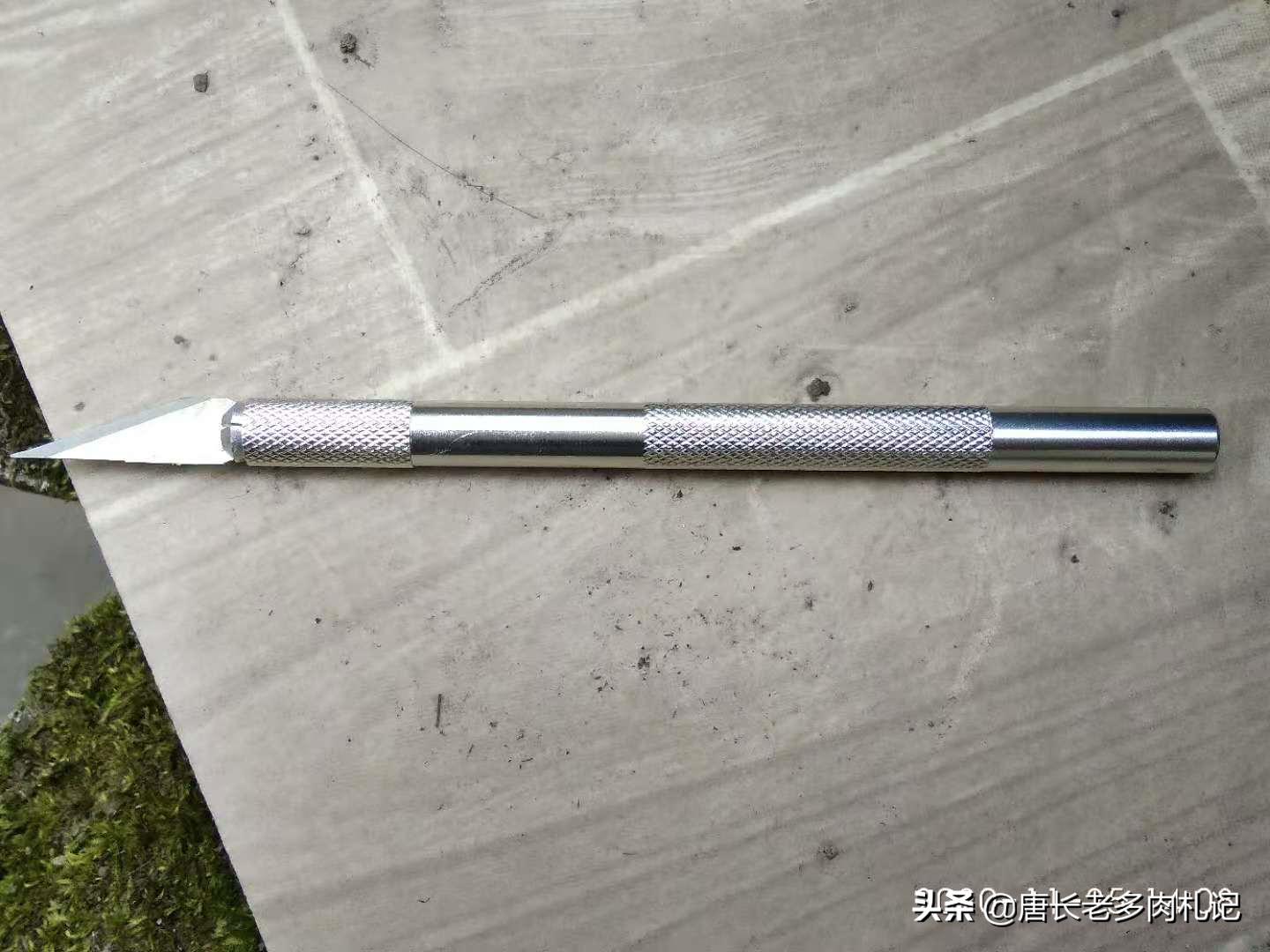 多肉法师开完花会死吗,多肉法师顶端花剑可以整个剪掉吗