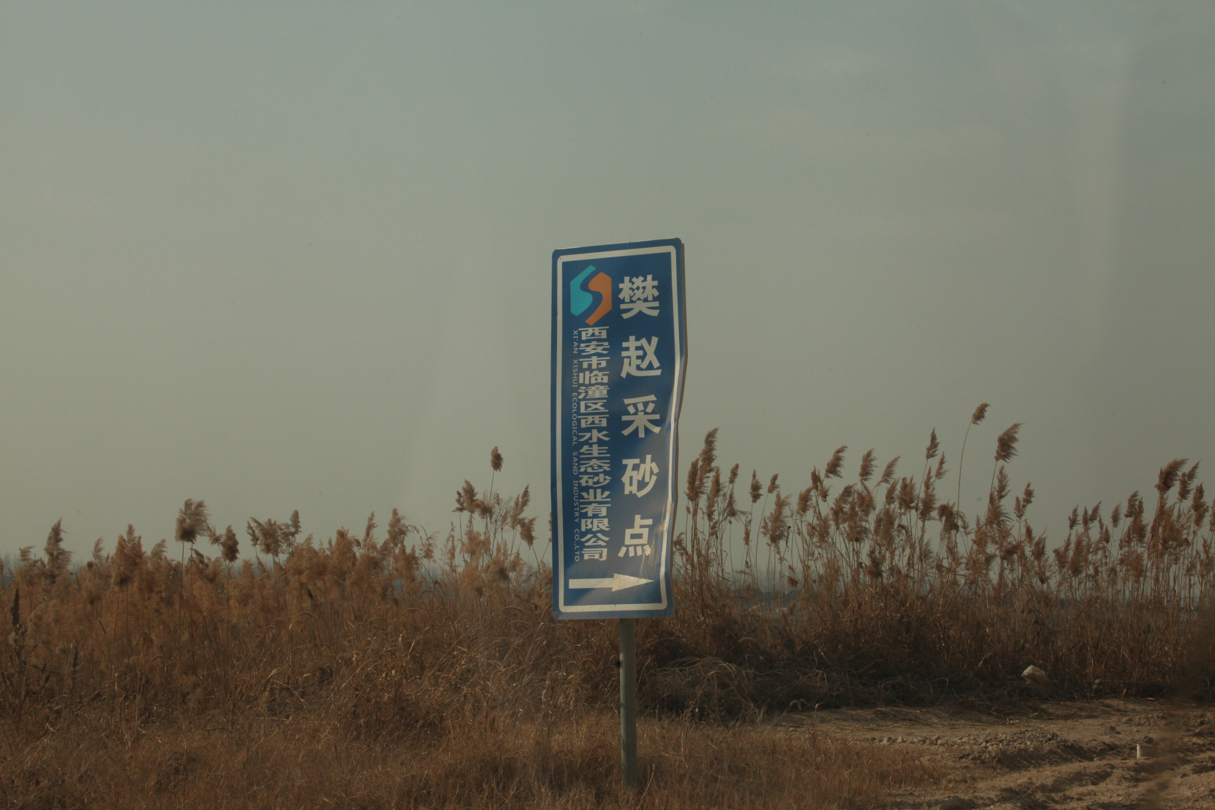 「长安札记」渭河临潼段正成为盗砂者的“掘金天堂”