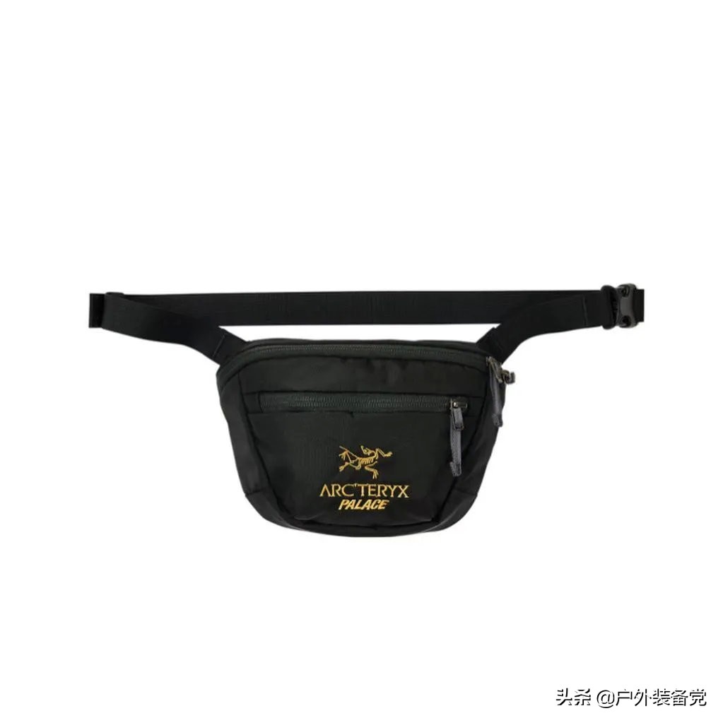 始祖鸟palace联名冲锋衣有recco吗,始祖鸟palace正品