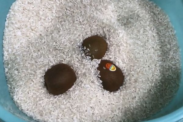 猕猴桃不熟怎么办,猕猴桃不熟该怎么办