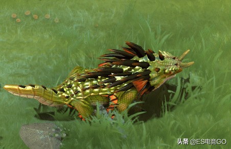 刀圈二三事major预选,震中杯major中国区预选