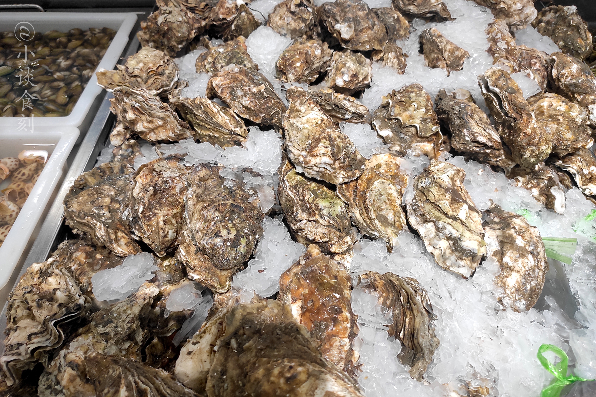 超市袋装生蚝肉为什么便宜,超市十几块一箱的生蚝