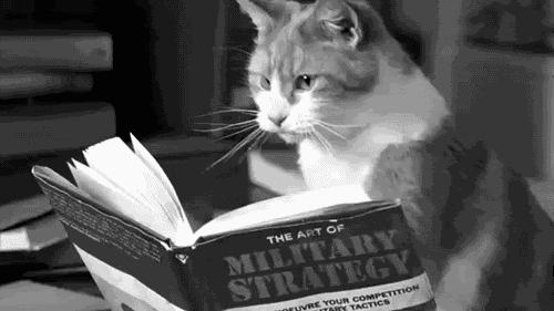 南京市幼升小面试题与答案,上海实验学校幼升小面试