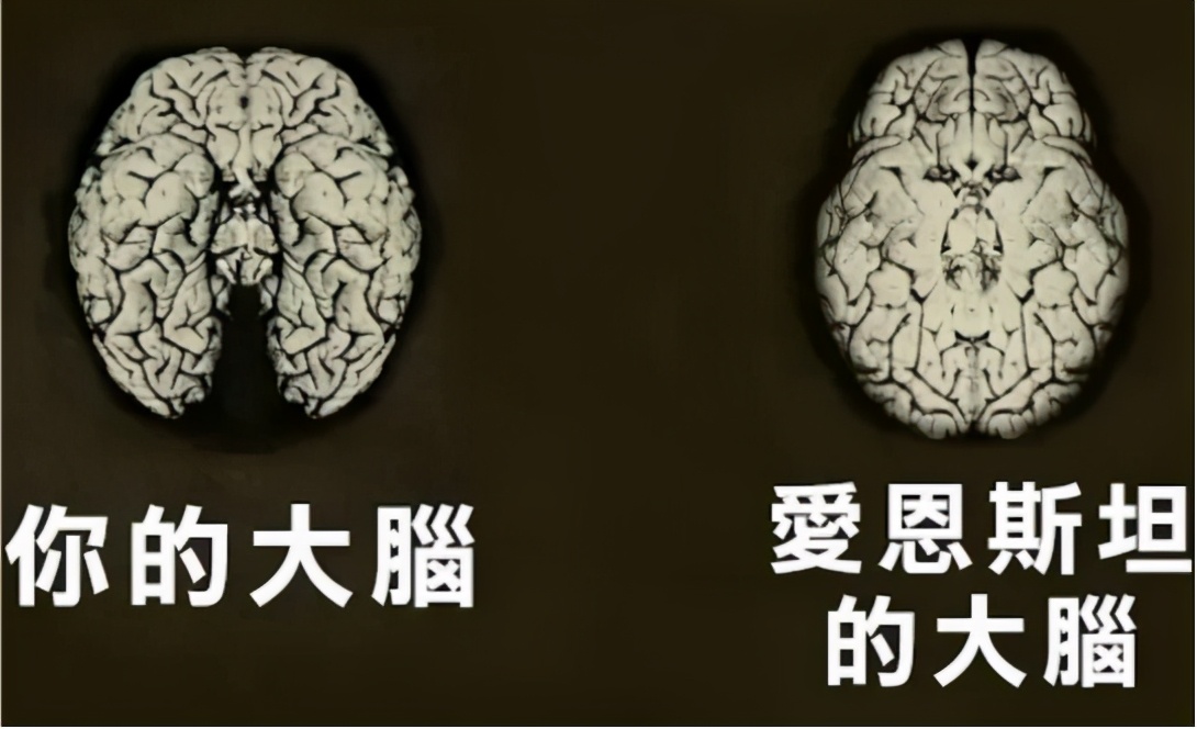 诺贝尔公布爱因斯坦成绩单：学习不好系谣言，从小就是天才学霸