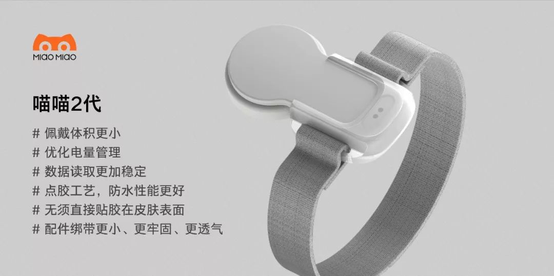 二代猫,二代猫咪