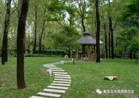 秦皇岛骑行最佳环线夜间,秦皇岛最美公路怎么导航