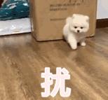 适合十五岁用的眼霜熬夜也可以用,经常熬夜有眼袋黑眼圈的眼霜