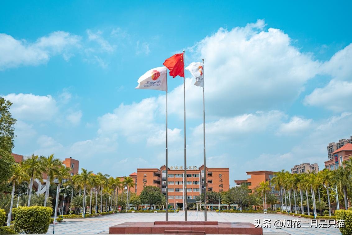 征集志愿广东专科有哪些学校,广东专科征集志愿学校