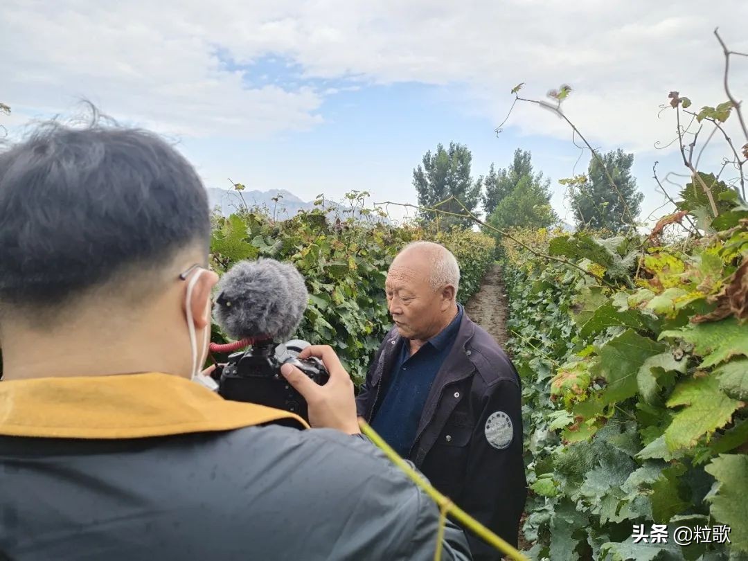 住商中农肥料怎么样,住商肥料助力精品农业