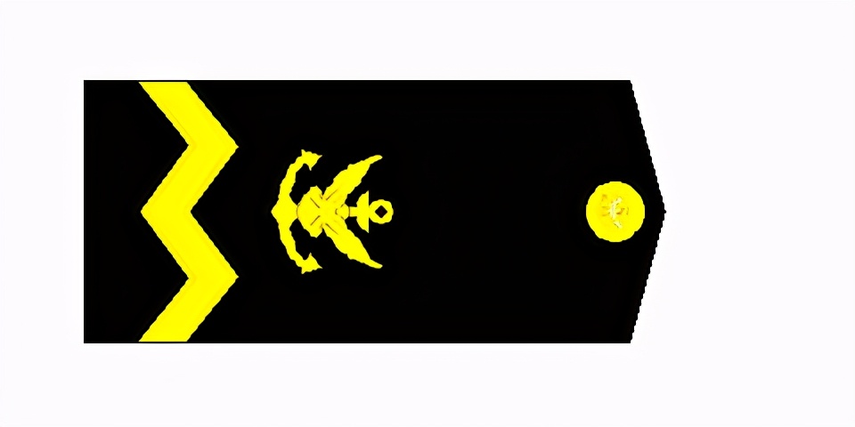 民国国军军装军衔标识,马来西亚军队军衔图集