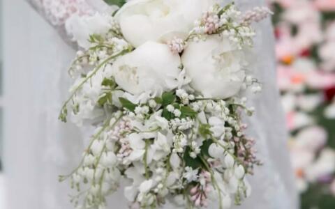 十二星座该送什么花,给十二星座送什么花最适合