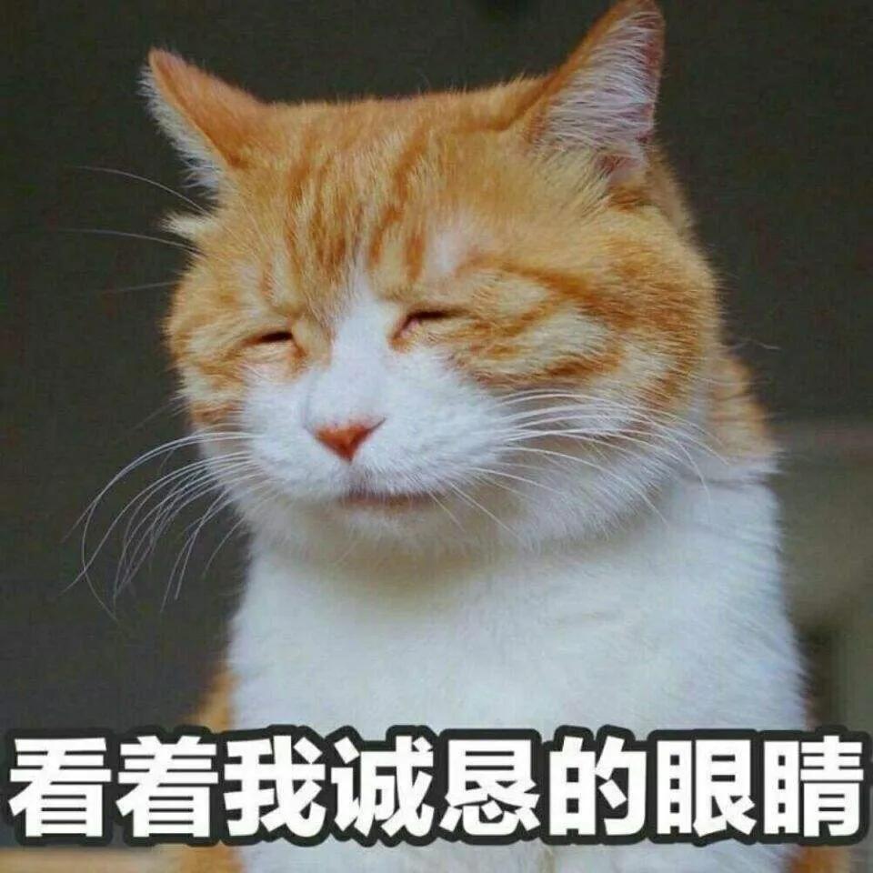 月薪6万元工资发到手是多少,工资7500发到手还有多少