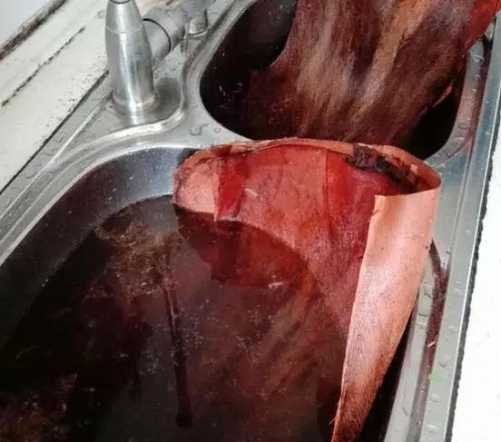 绿萝怎么样做才能好看呢,绿萝如何造型比较好看