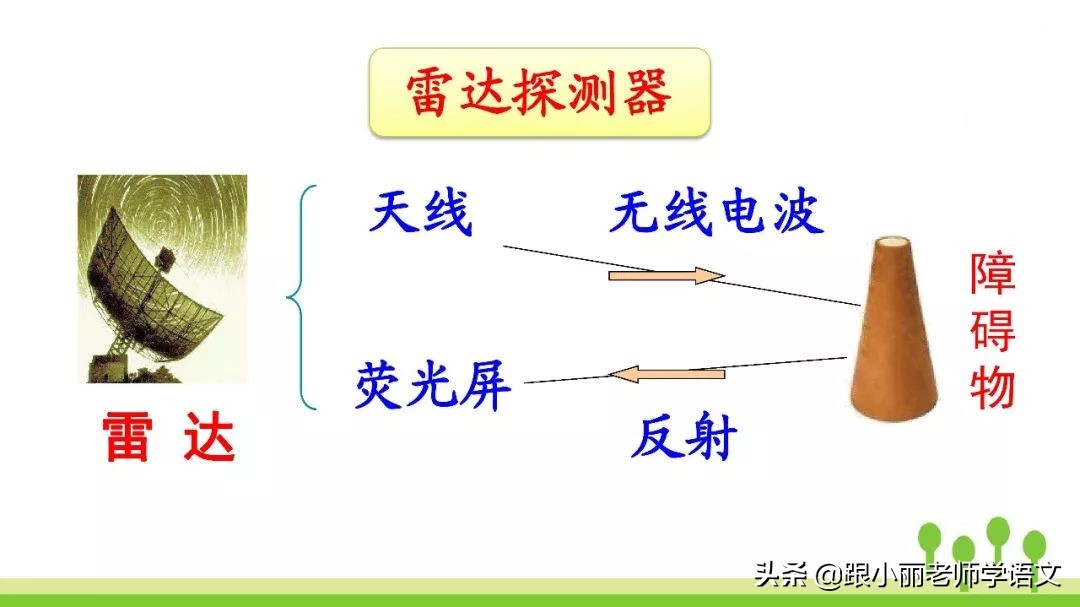 语文思维导图四年级上蝙蝠和雷达,人教版四年级上册蝙蝠和雷达朗读