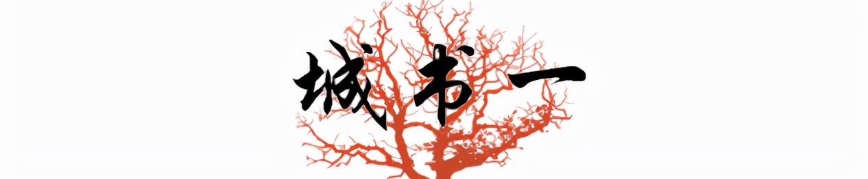 网红第一人罗玉凤,网红罗玉凤现象