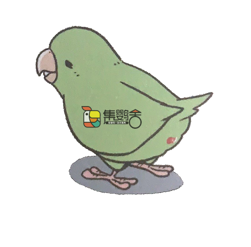 鹦鹉意外受伤的紧急处理方法