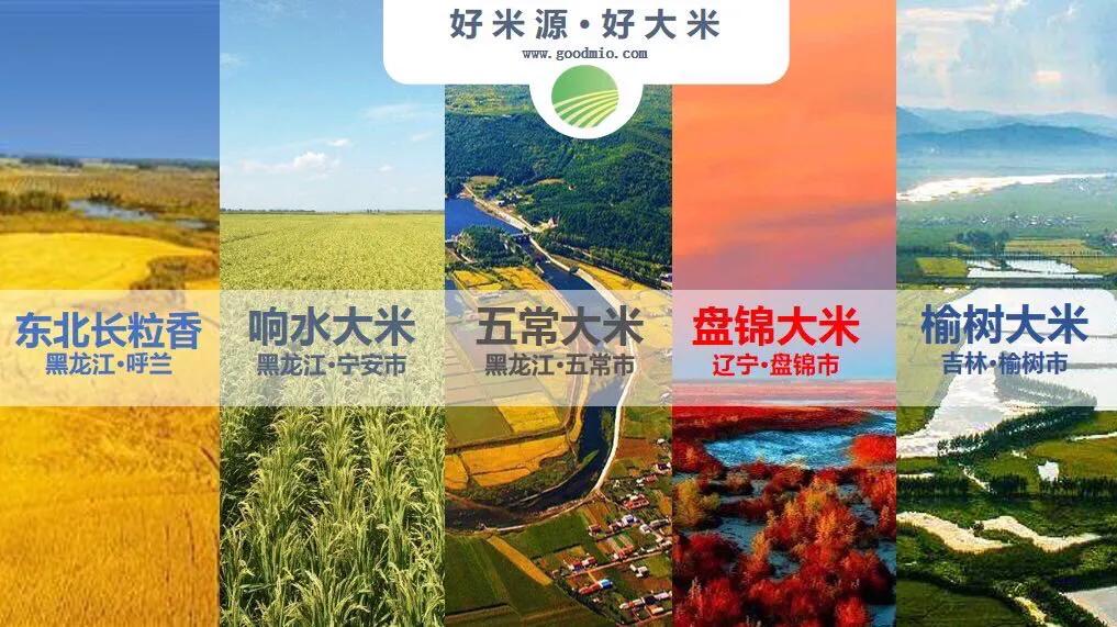 亨利音乐馆张哲轩,采访亨利中文纪录片