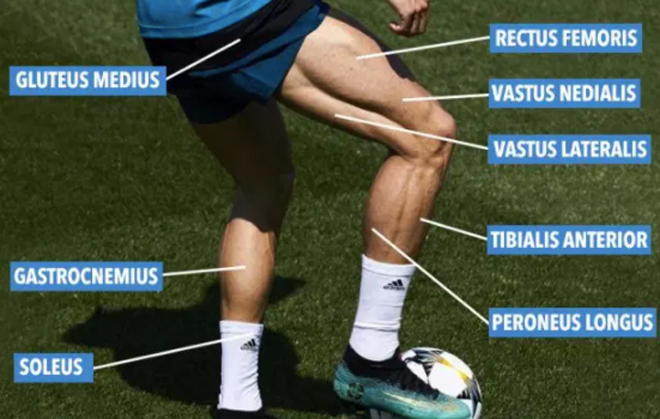 罗纳尔多c罗怎么锻炼身体,c罗纳尔多腿部肌肉