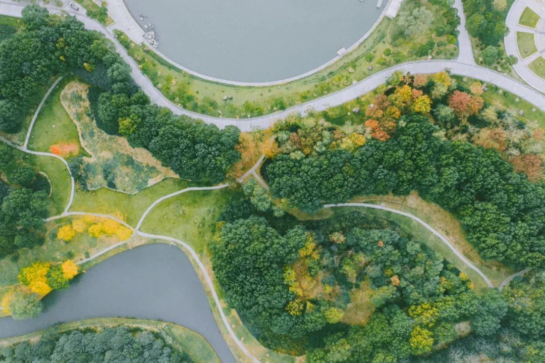 你一定没见过这样的新中式,东方绿舟特点