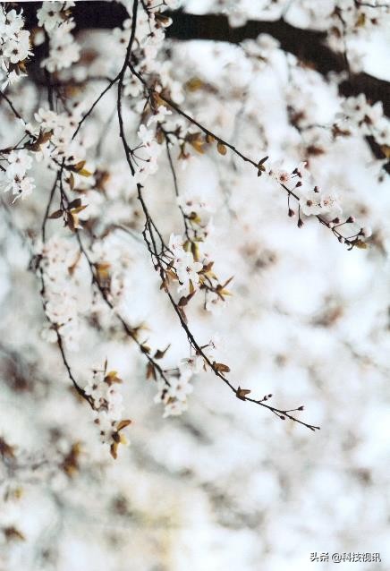 惠普178nw打印复印机扫描一体机,惠普彩色激光一体机178nw