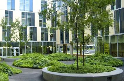 校园文化景观改造设计,校园景观改造