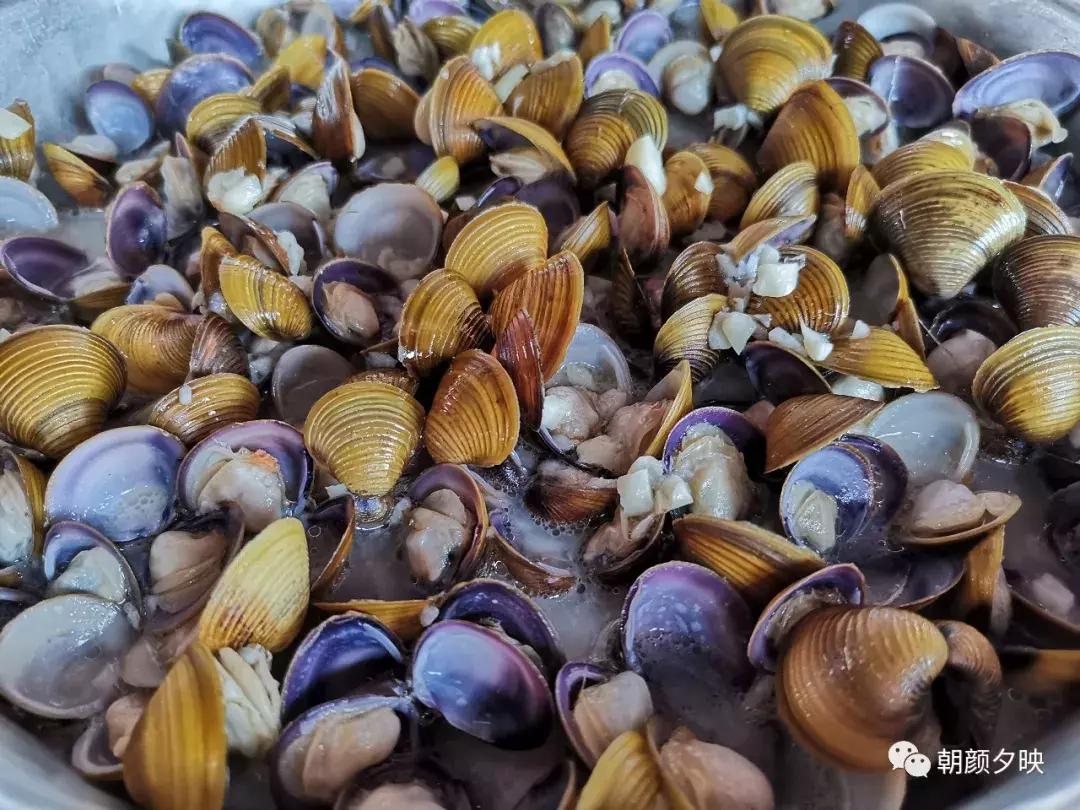 新会石板沙最好的地方,江门石板沙村旅游介绍