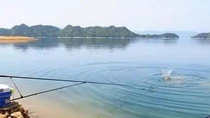 下雨天在大河钓鱼技巧,下雨之前如何钓鱼最好呢