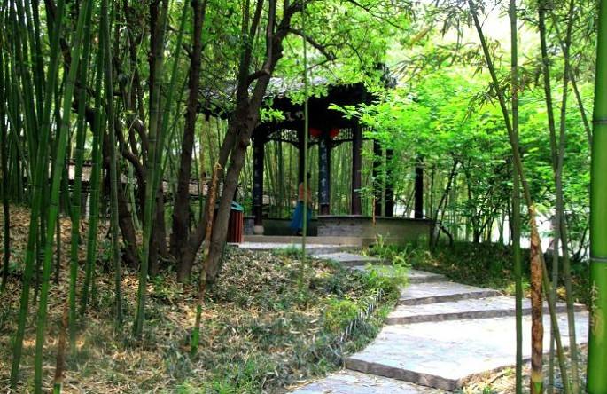 鹧鸪天咏农民,鹧鸪天咏西洞庭湖湿地